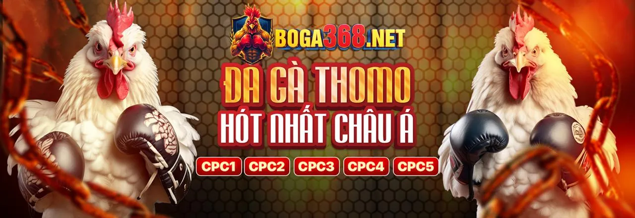 Bảo mật và công bằng tại stone27