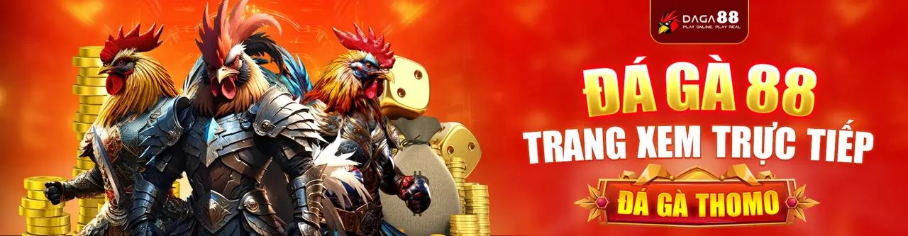 Đấu trường đá gà trực tuyến sôi động tại stone27